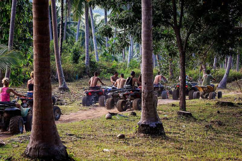 Jungle Off-Road Ride